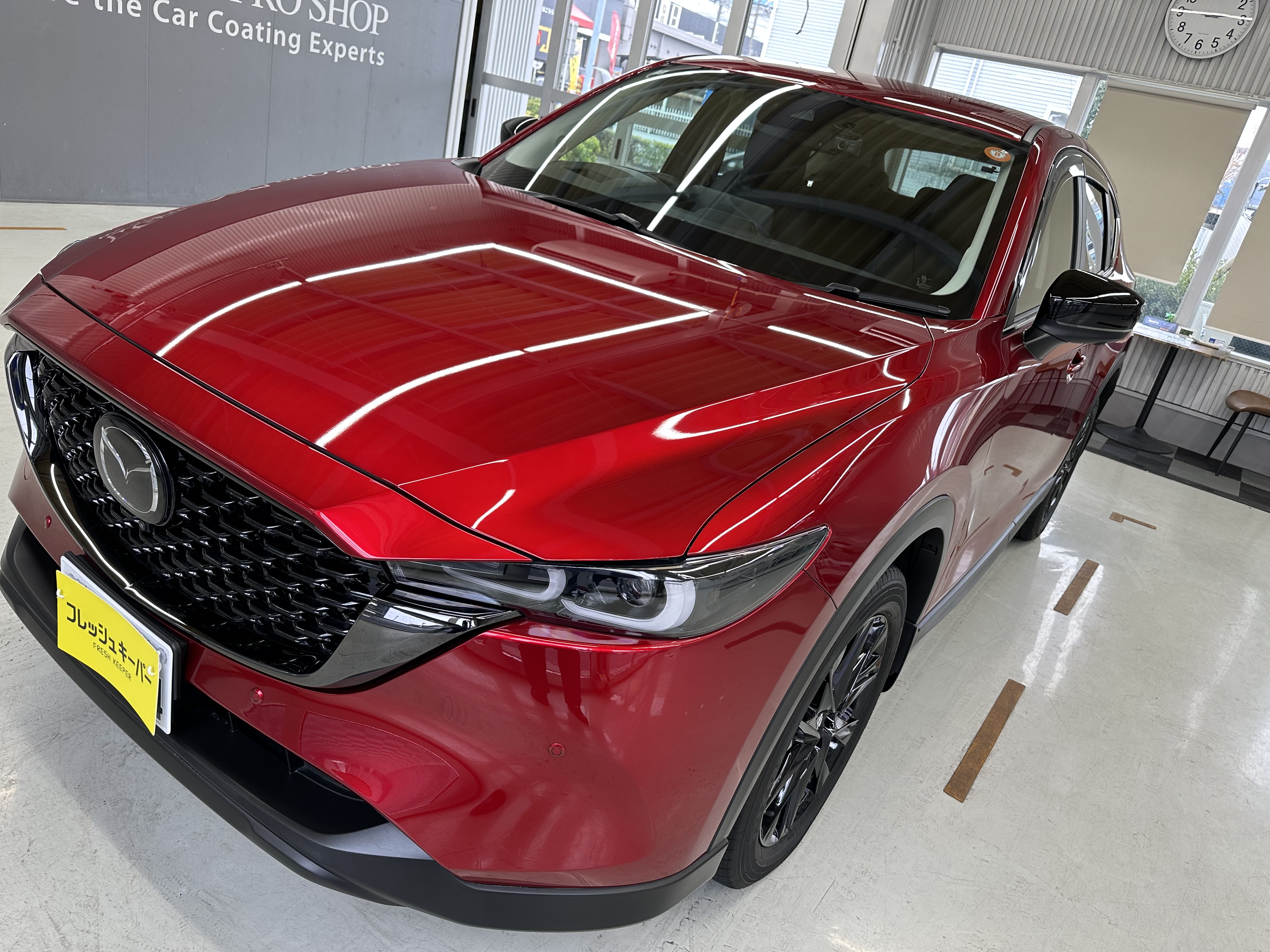 施工後のメンテナンスと手入れのコツ