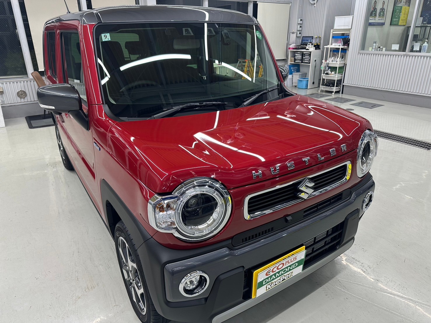 塗装保護の重要性
