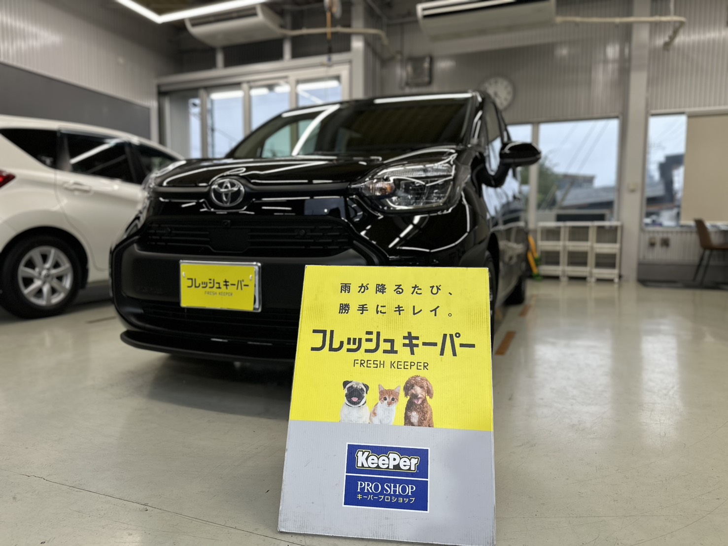 愛車をピカピカに保つなら、プロの技術を信じるべき！